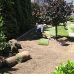 Urządzanie i pielęgnacja ogrodów
