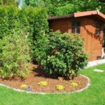 Urządzanie i pielęgnacja ogrodów
